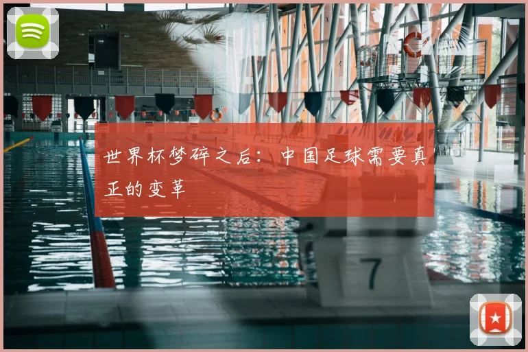 世界杯梦碎之后:中国足球需要真正的变革