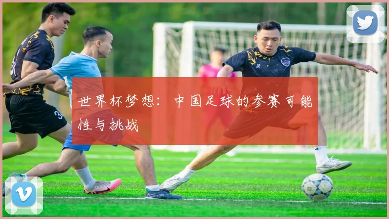 世界杯梦想:中国足球的参赛可能性与挑战