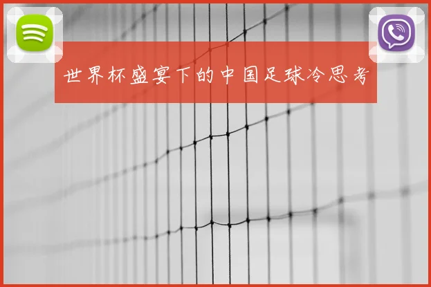 世界杯盛宴下的中国足球冷思考