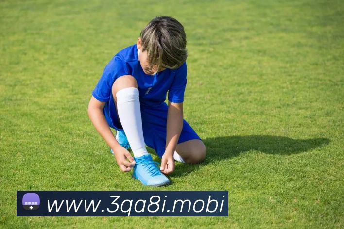 开云手机在线官网登录APP 封面图